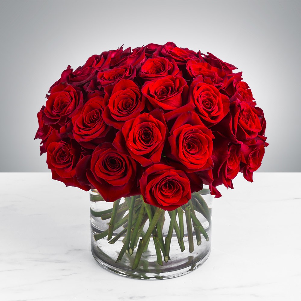 Roses for Special occasions such as Valentine day, Mothers day, Teachers day and any other special occasions